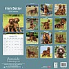 Irish Setter Calendar